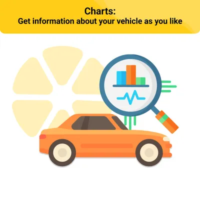 Charts: Get information about your vehicle as you like!